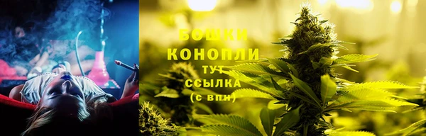 спиды Волосово